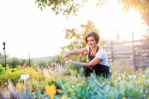 Landscape design and planting in a Barnes garden