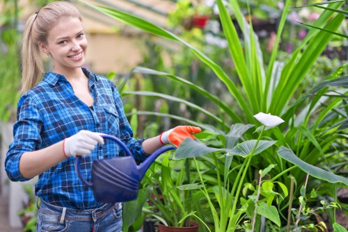 Person using an accessible landscaping website on a laptop