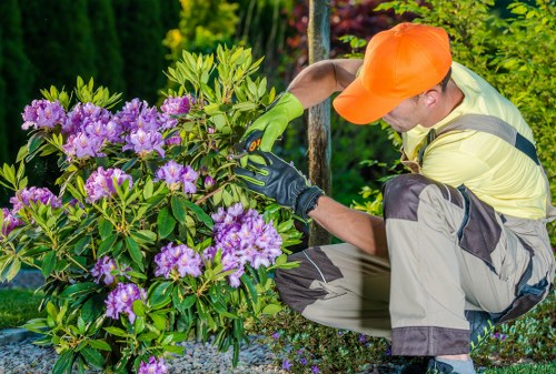 Landscaping quote for a garden clearance in Barnes