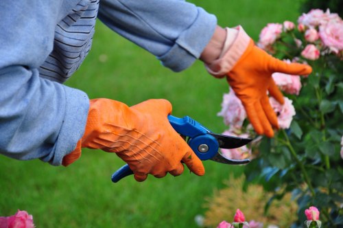 Illustration of website cookie settings for Landscaping Barnes