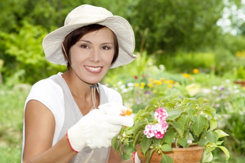 Inclusive browsing experience for Landscaping Barnes visitors