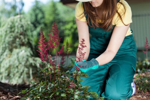 Supervisor checking a landscaping site for hazards and safety controls