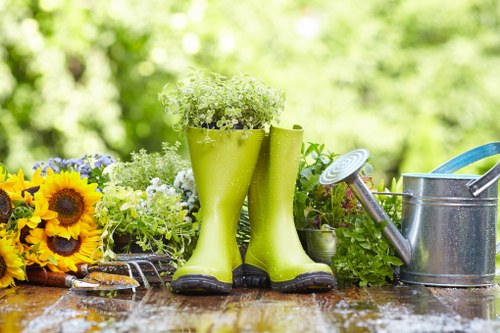 Local soft landscaping for a residential property in Barnes