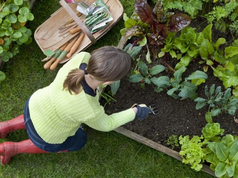 Keyboard navigation focus on a landscaping services page