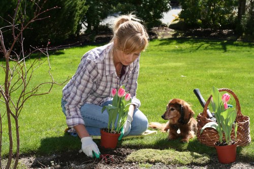 Team maintaining tidy, safe landscaping operations with proper housekeeping