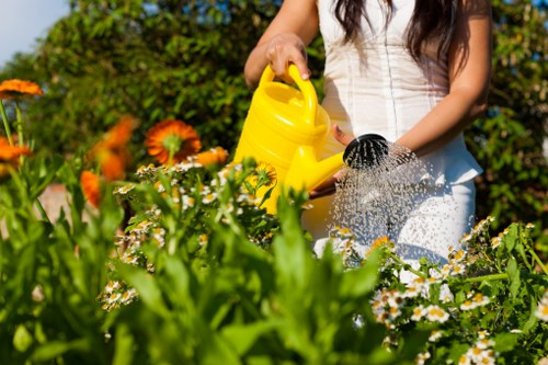 Detailed landscaping project in Barnes showing hard landscaping and plants