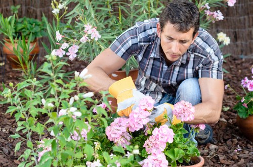 Recyclable garden materials separated into clear waste streams